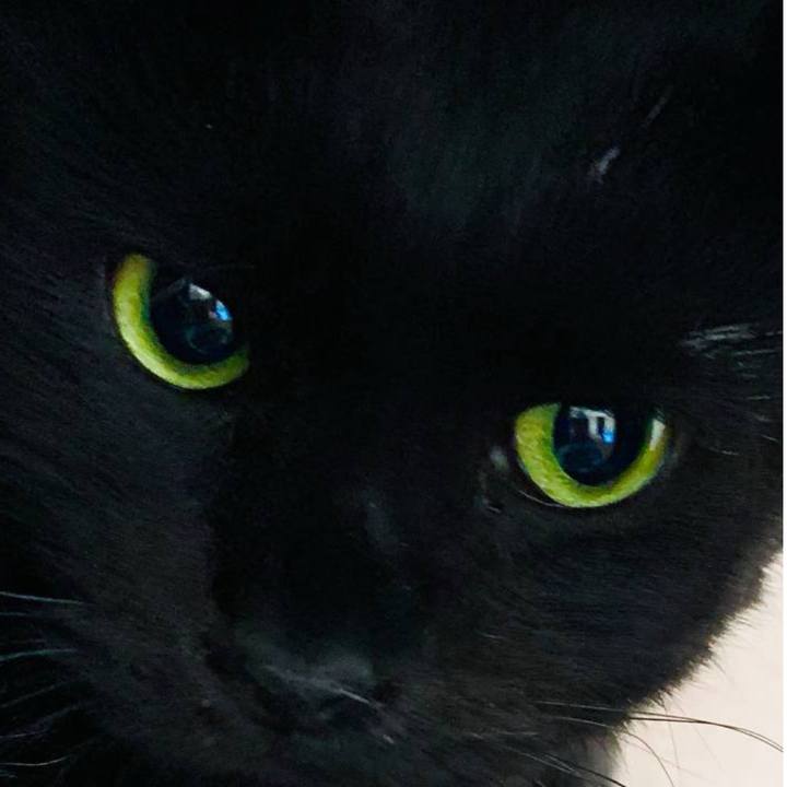 638cc7c5 df3c 4319 881c ec322b61de5e 1703670979441