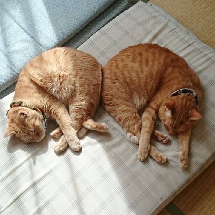 638ce280 3462 409a 96c5 1377ff2ac868 1524458024390