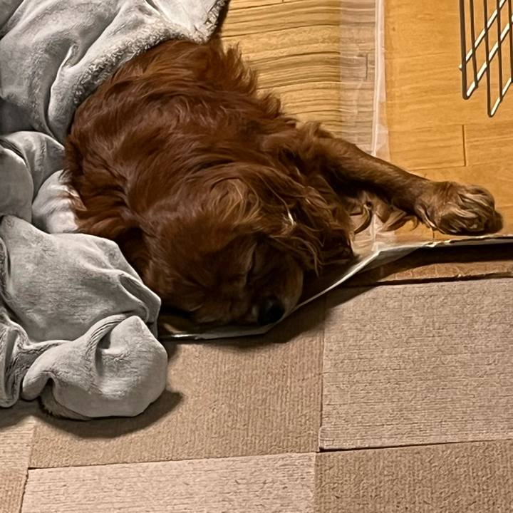 638d1b6c 5f75 4ef3 96ab b608f64c7379 1738679246966