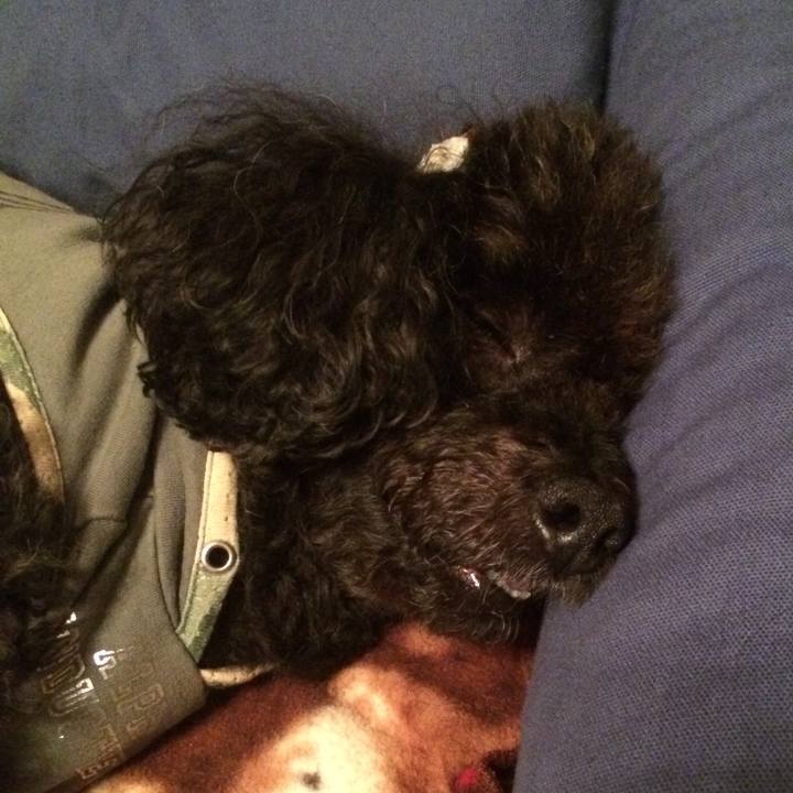 638d1d03 3a75 4f45 9955 b7dcece9159c 1539683961396