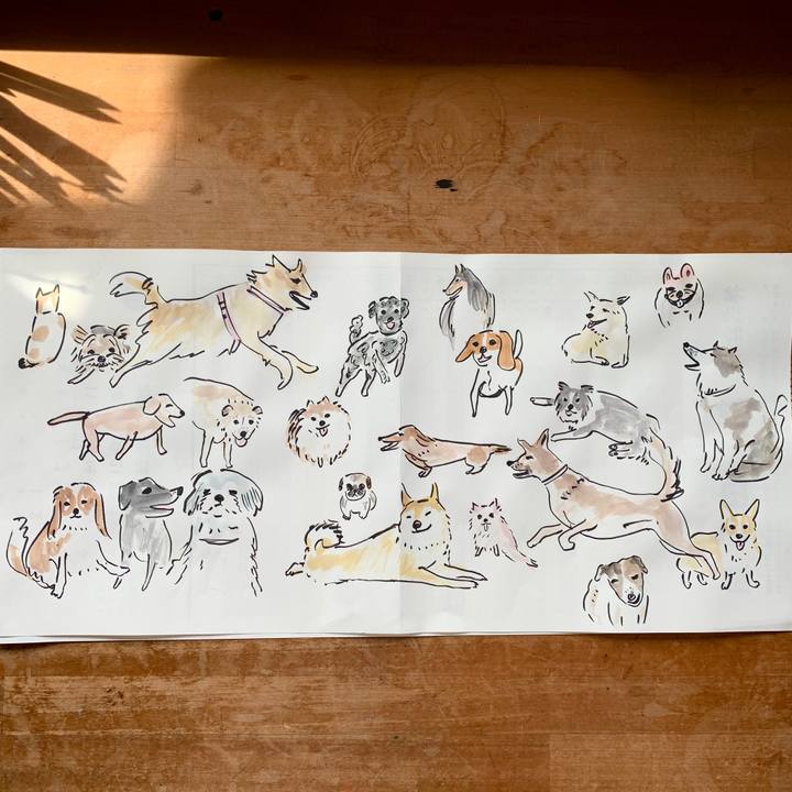 638d31d6 c7df 43a2 b35a 90783c4c2bd2 1600733742057