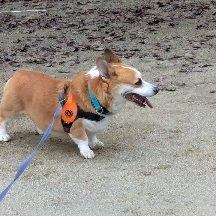 638d47b6 cf23 4ffb 90dd d2ef94eed161 1728984149586