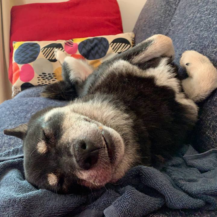 638d541a f7e2 494e 9692 6351b9b667e6 1621904854914