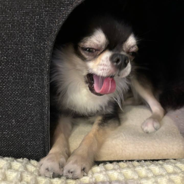 638d5446 320a 4272 a9b0 ad528b80dc56 1728750287925