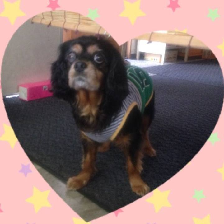 638d72d5 c6bb 426d 91c4 61a704118df0 1508071417753