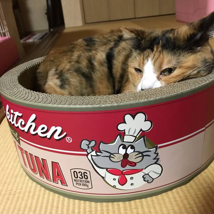 638d7dfd a361 44e5 bd08 3c4203fe2c24 1565867557019