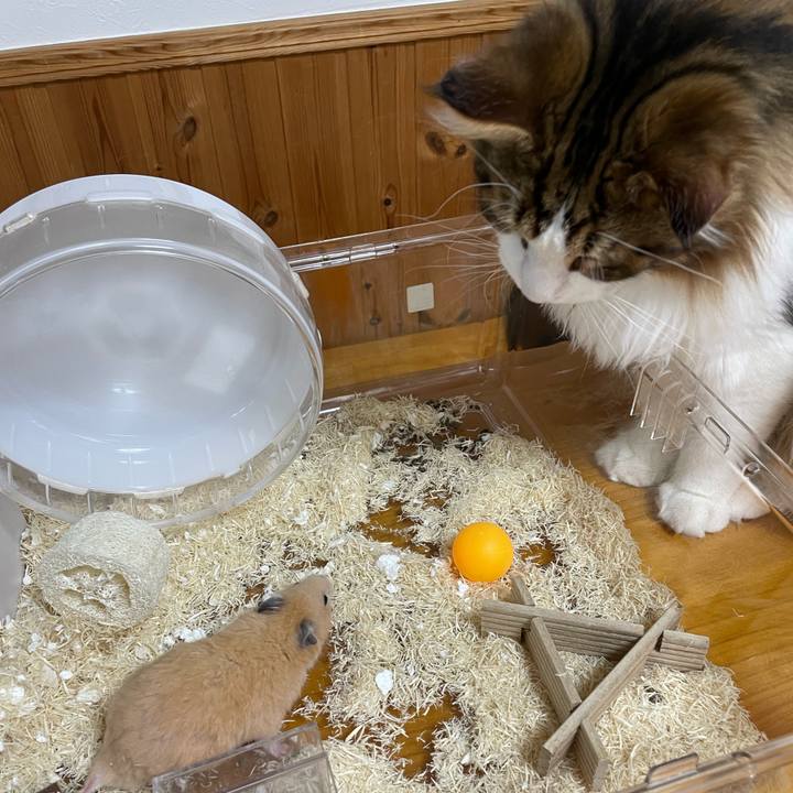 638d9f21 12f1 4e34 8ed3 061e8f646a7b 1645924287150