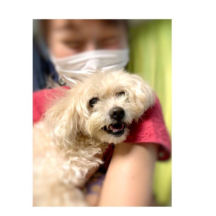 638ddc17 0a88 49e7 9c84 dbaf2aab3202 1658659458822