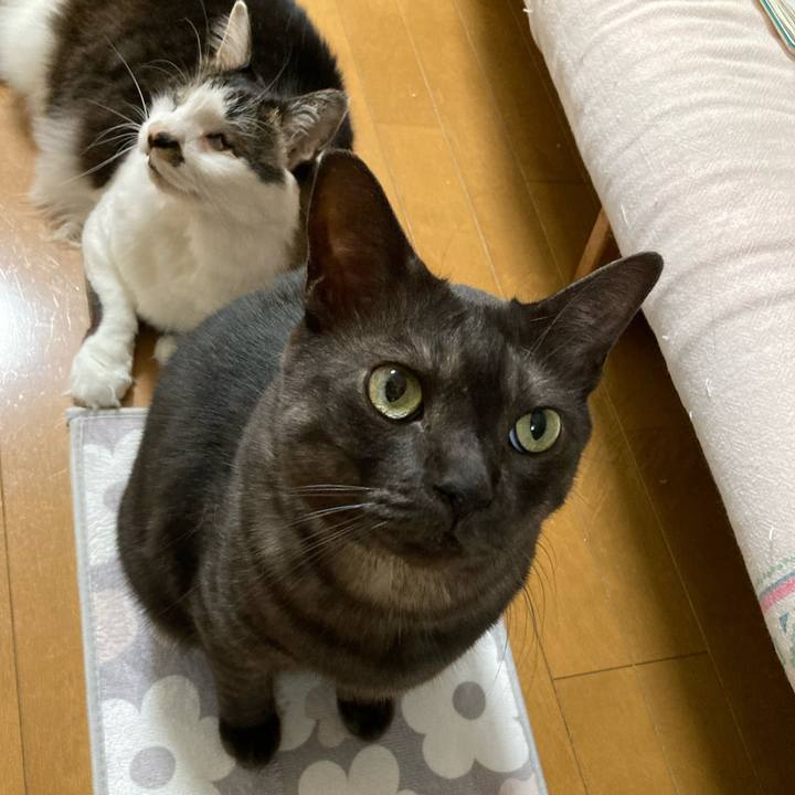 638e13cf 4a57 4fd0 bdbf 4b7b217ed0a8 1708128901318