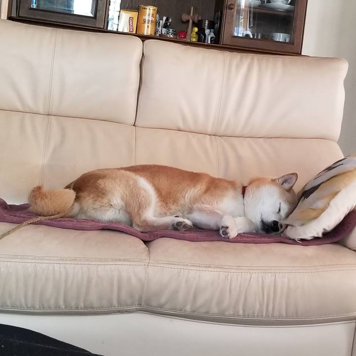 638e3c8b 6d42 431a 9227 ee34821ad6ff 1717729641494