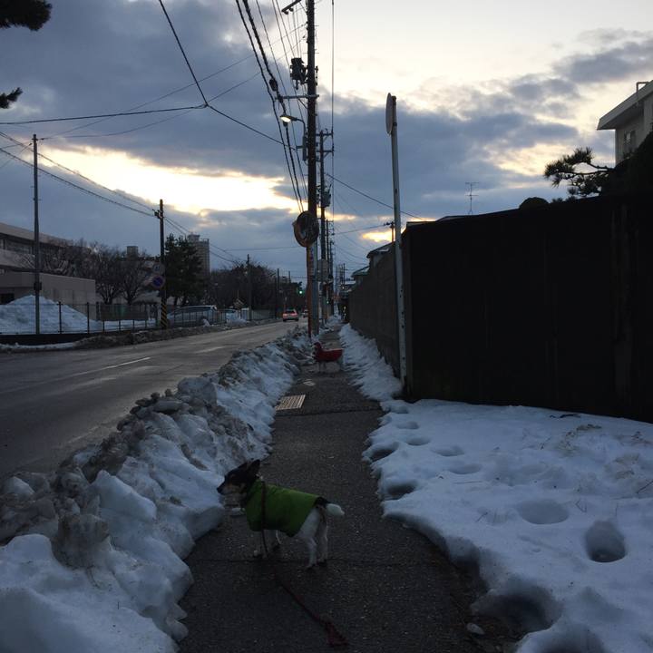 638e3c99 4ed8 4522 9743 57f395c10a4e 1516247142048