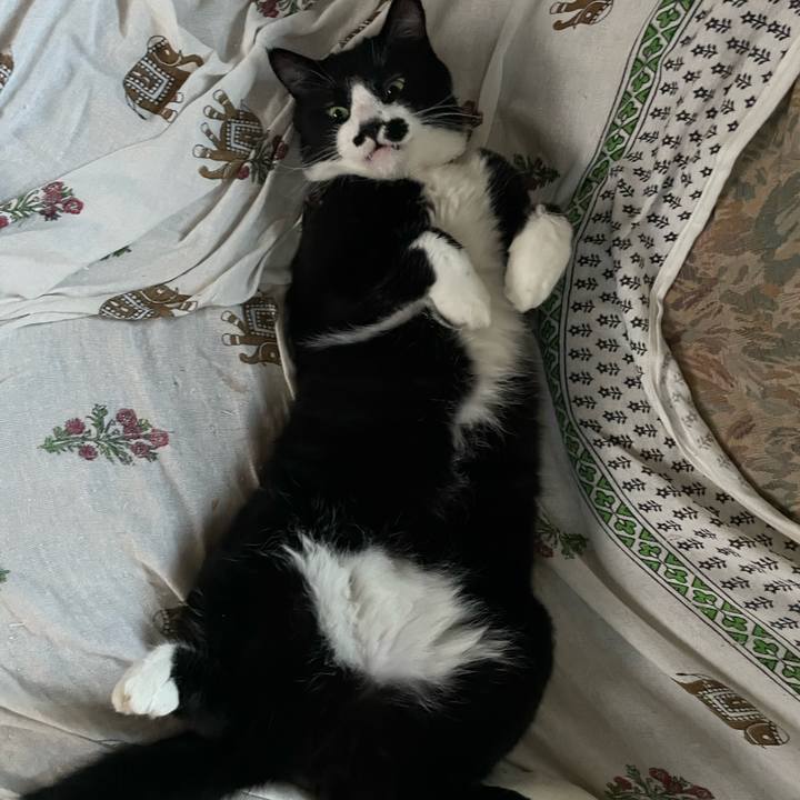 638e92d2 f843 4787 aaa8 3521a5af0045 1723109148862