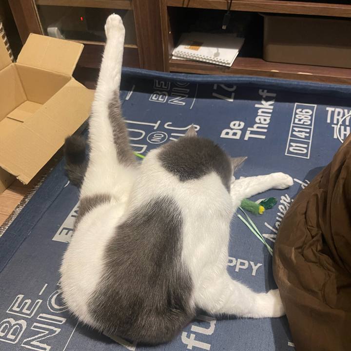 638ea8f4 c5e4 4bff 98e6 baee13d960ca 1701960961521