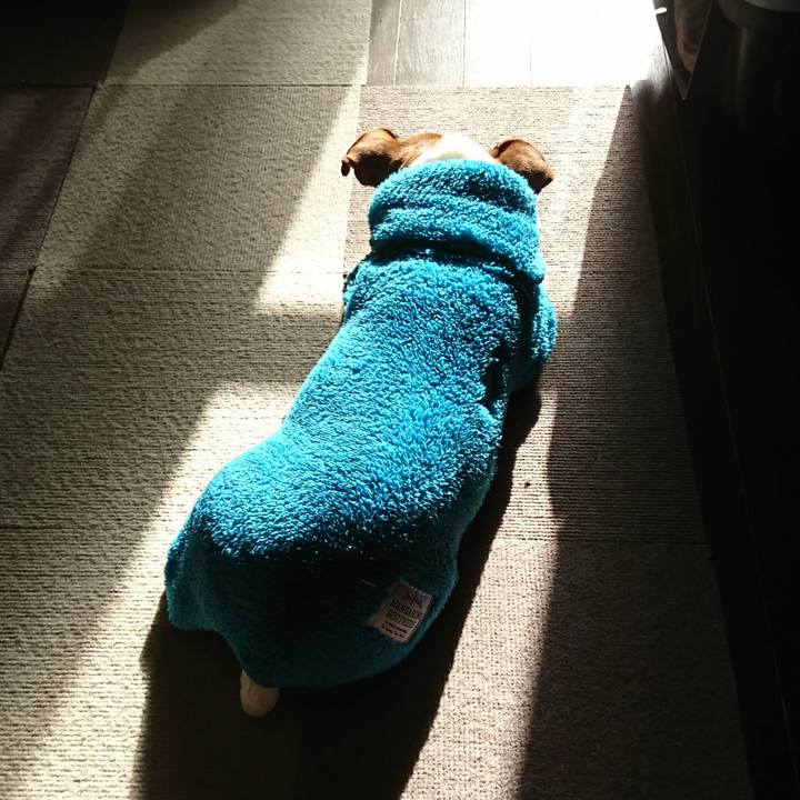 638eb0f3 1f00 492a 97c7 a69c2e9c99cf 1610067753229