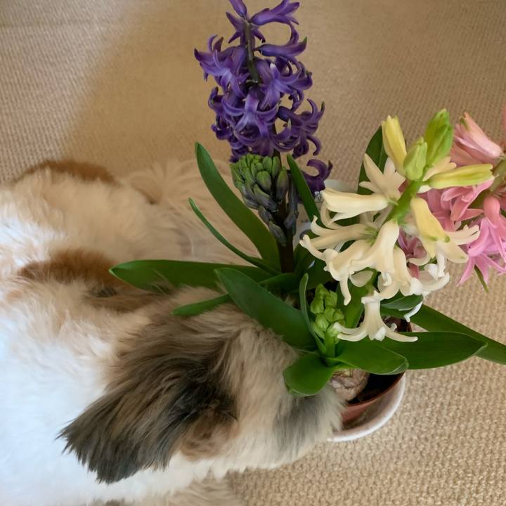 638ec0d3 9f64 4bf5 8247 95bc4d8b5a91 1612571685878