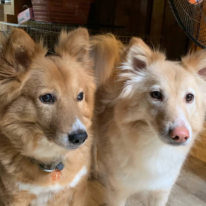 638edee9 e061 4e65 a323 8bfff56eb233 1591099184517