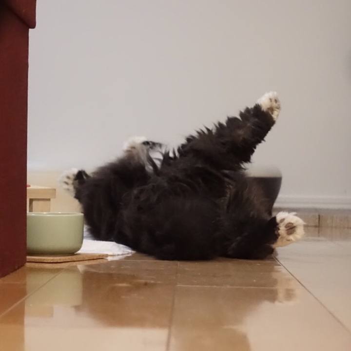 638ee348 8937 4bf3 8353 639853f70f9c 1557884294044