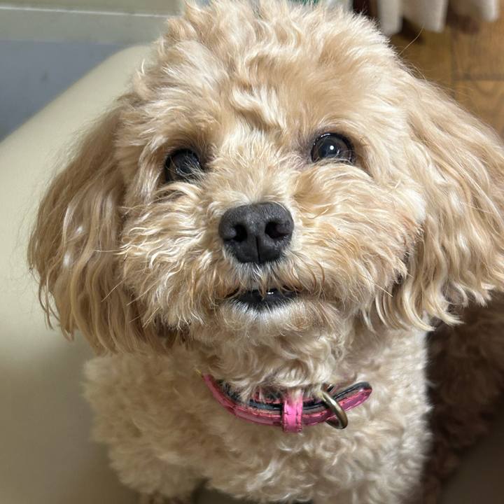 638effbd c2d7 4f46 8645 24ab9a7928f2 1749335553142