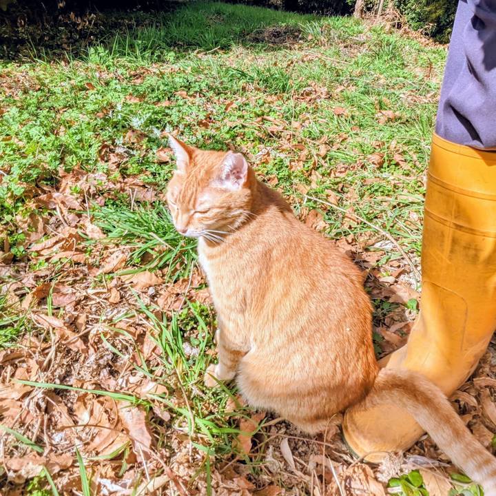 638f0e93 f67c 40e5 bc34 dd8114fc08a1 1771856209582