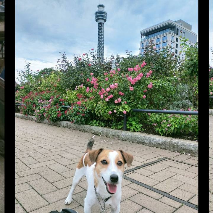 638f24e1 544f 4698 871e 203cd4deec68 1761989984695