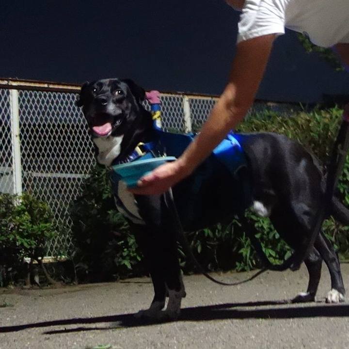 638f49bd 2c1e 4ab1 973e 0b82f4679ba8 1694602540387