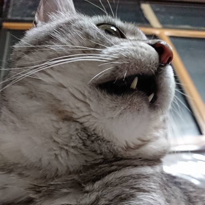 638f977a 9ebb 4156 ab2e 4c913872edc1 1528638813846