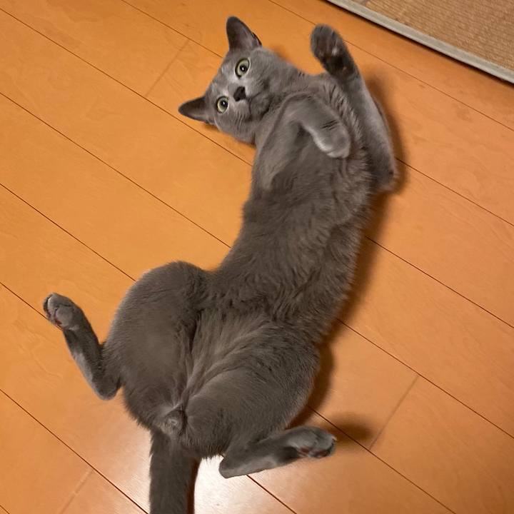 638fafa1 7136 4ade be90 9dee4883016e 1692611220833