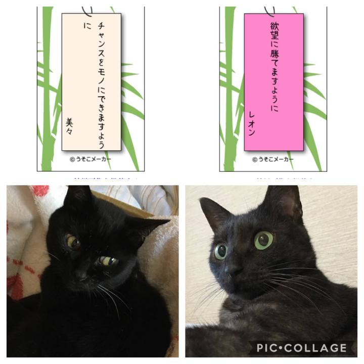 638fc496 7170 4cb8 8221 b4e525372911 1562496482184