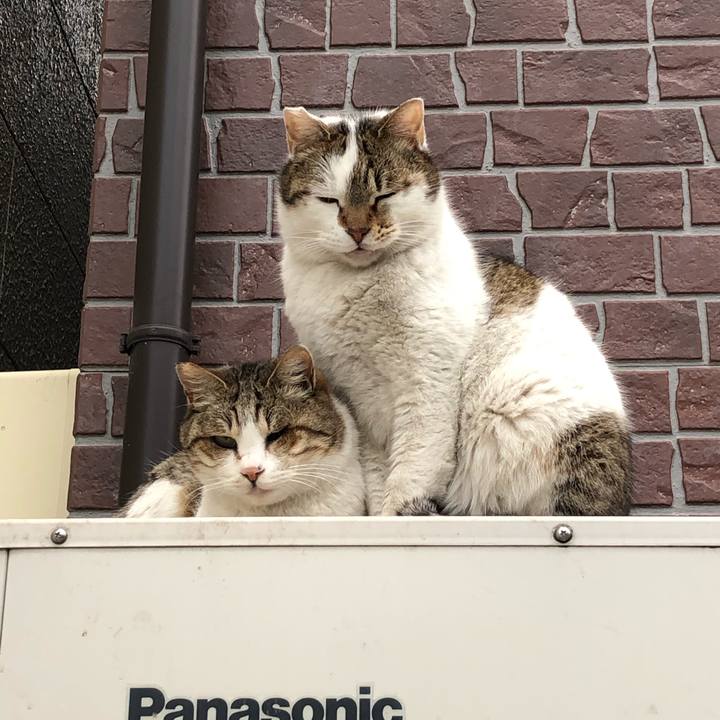 63902da4 2d87 42e0 8270 4a3afa222e78 1551459979800