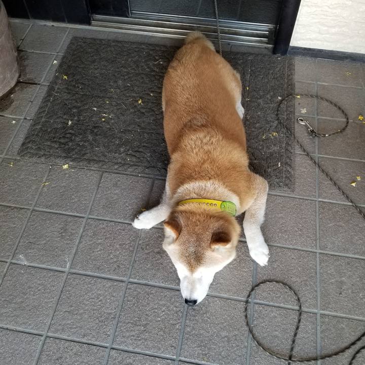 63903397 9013 4f59 9561 5b619376050a 1690590562614