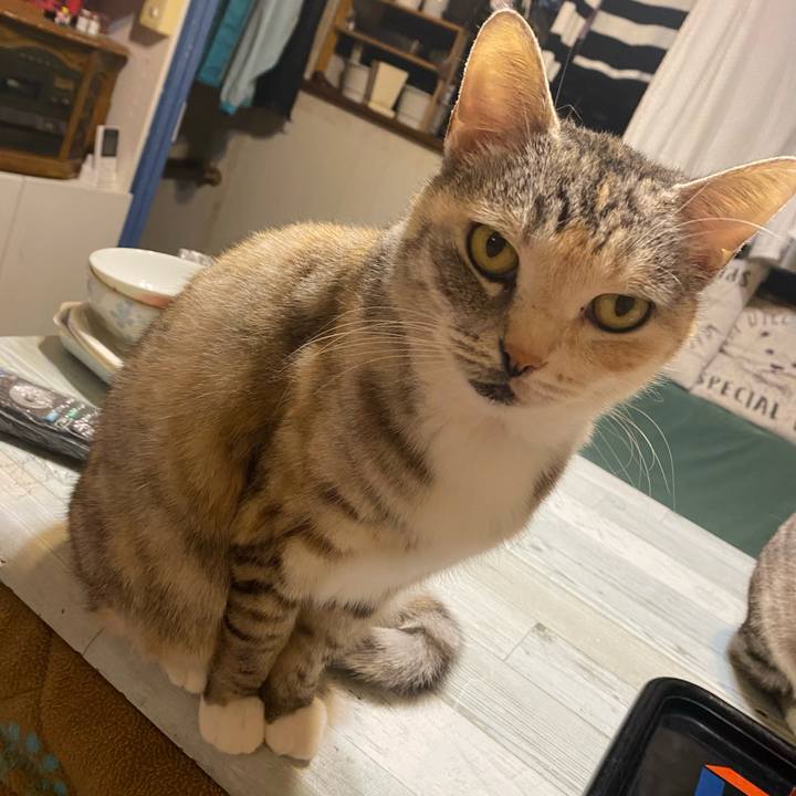 63908e44 801e 4ce4 9a08 262d51096521 1610536716996