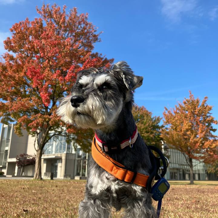 6390a89b 939b 4028 8c57 51430b271fbd 1731563794929