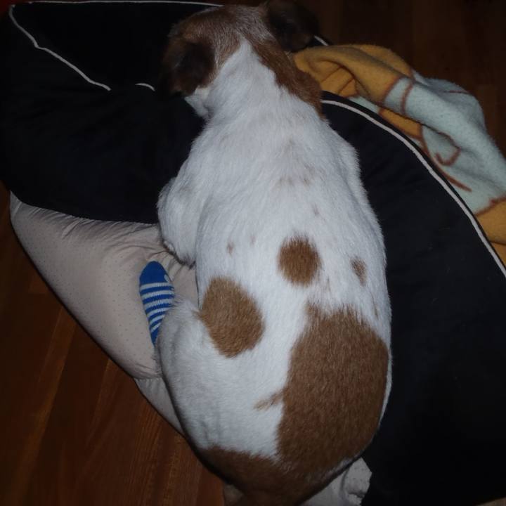 6390ac87 bfa0 4608 a7e0 2f70f4dc47ec 1526301049966