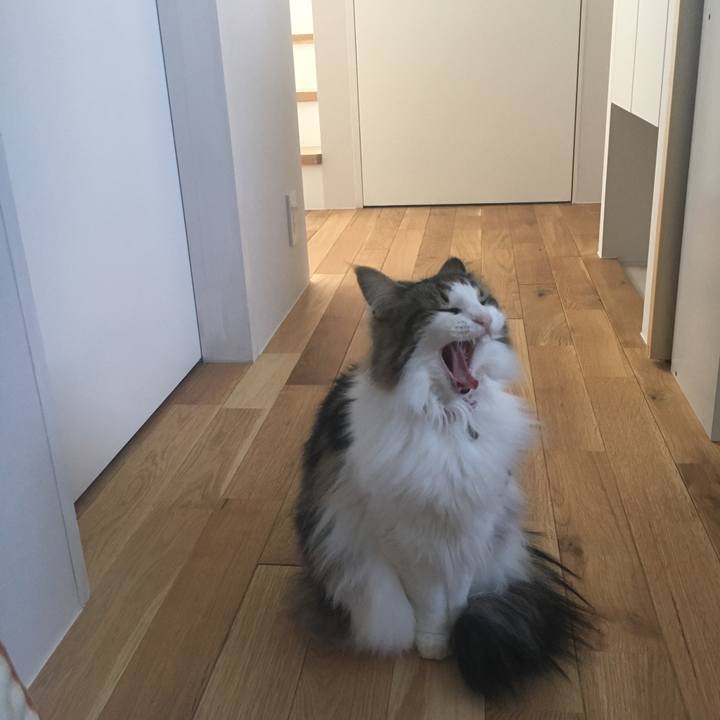 6390de9a 5f05 4460 a0ee 0d2a26f64bf2 1525248507037