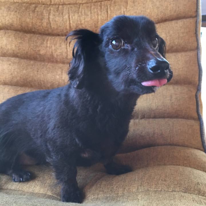 6390f419 fd36 46a1 ad18 95a7562212e8 1547766322786