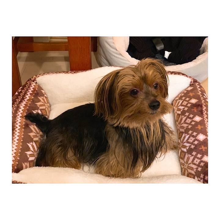 6390f63e c190 4274 a45a 0aeeca13252d 1543101421661