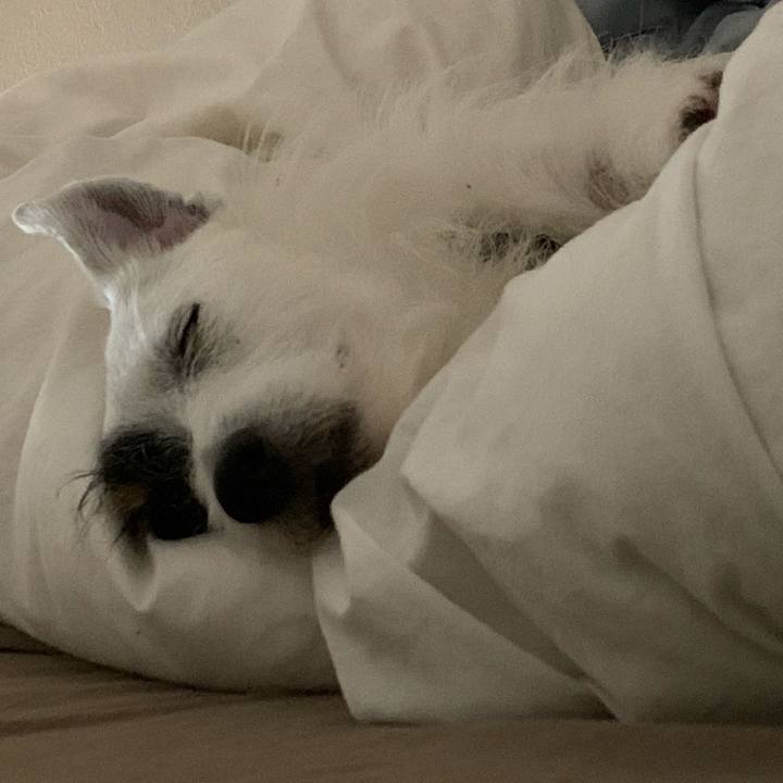 6391193f f3a2 46d7 a39b 0348c9619df8 1591801664047