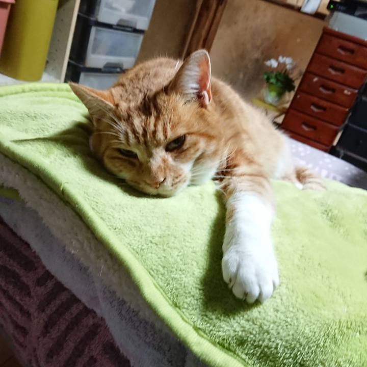 63911b11 1a2d 4286 a6cc 571676d79643 1608155146524