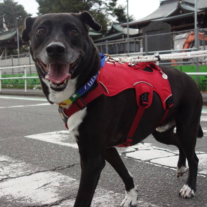 639136ee 7794 469c a0b0 b4ec5d31e6b9 1666398375818