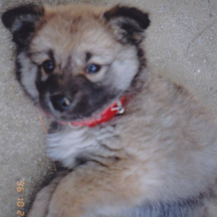 639160e6 68cd 431e 99dc 9cf8803d8fcd 1548087119416