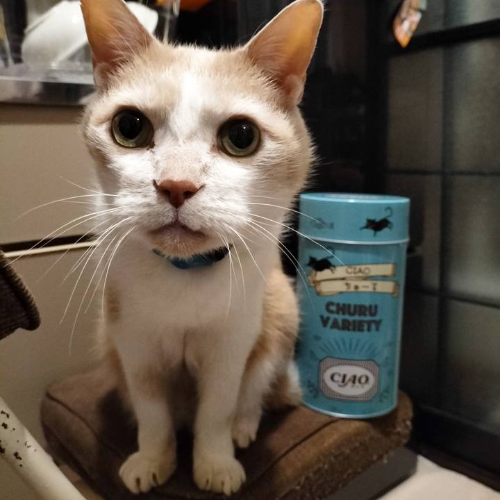 63916f80 d621 4412 864f 08fa8d7d903f 1681129580054