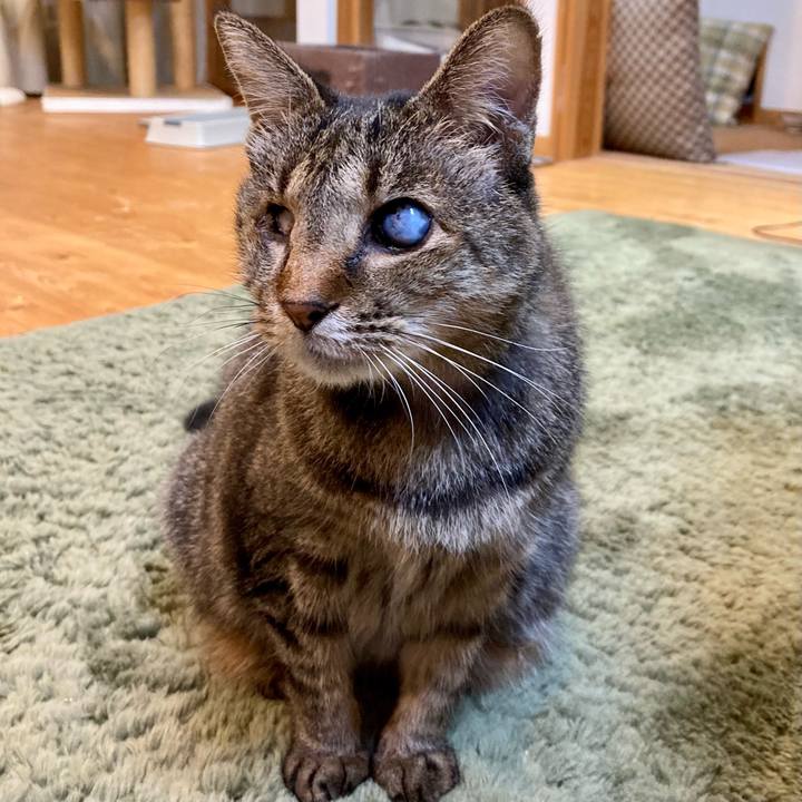 6391de84 ab6c 44d5 8a63 4b7cc7dc25de 1670755871487