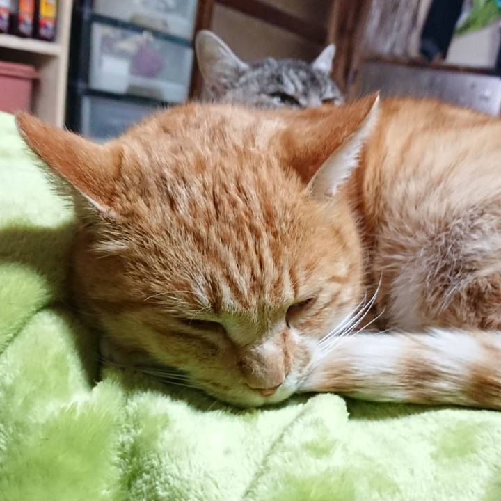 63920d67 fa48 481d 9b54 15070ec686ab 1582076215060