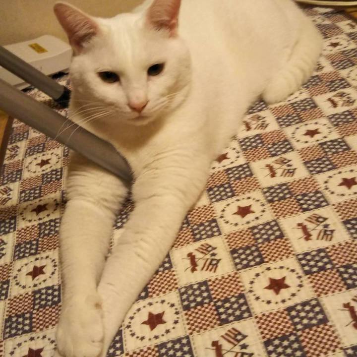 6392179b 3cb5 4ec5 88a6 d3f0279a51f6 1538839163485