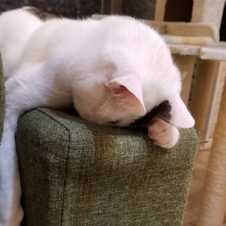 63921fcc bd26 439e 9dd6 e3842d0b69ce 1556888406254