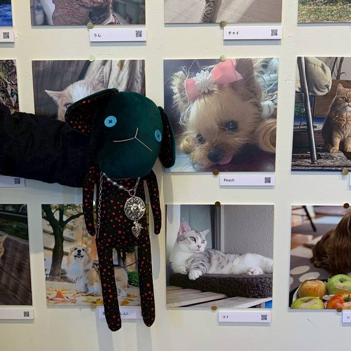 639243cf 779c 4220 882f 58121466743e 1765951078217