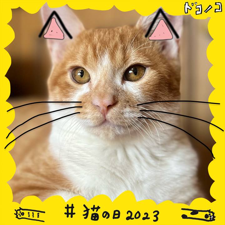 63927403 c661 4d42 971e 808fa39b651a 1677039506548