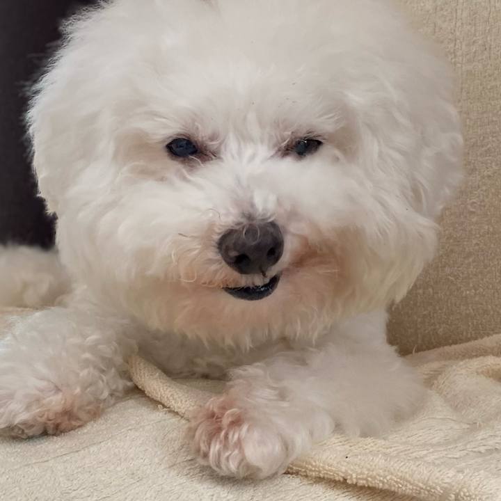 639276a7 3a45 498b a029 bfa0f6908226 1664332346066