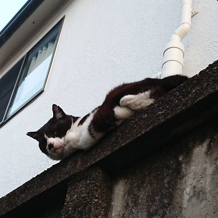 6392882b 176a 419e 98d6 4701b20f5b88 1653733567761