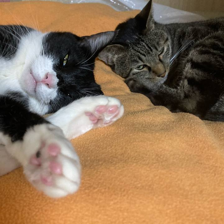 6392d648 37d8 47cd 9c84 c015bdac0ac9 1635645969963